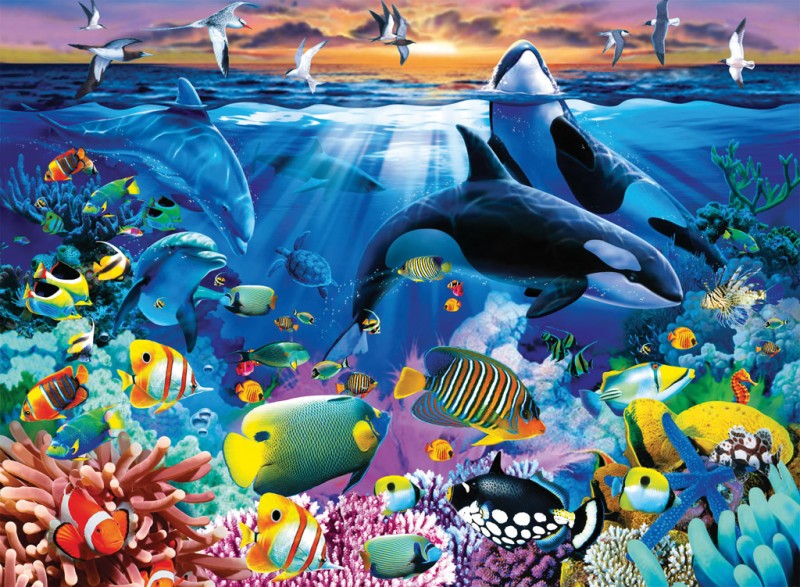 Foto's Thema De onderwaterwereld