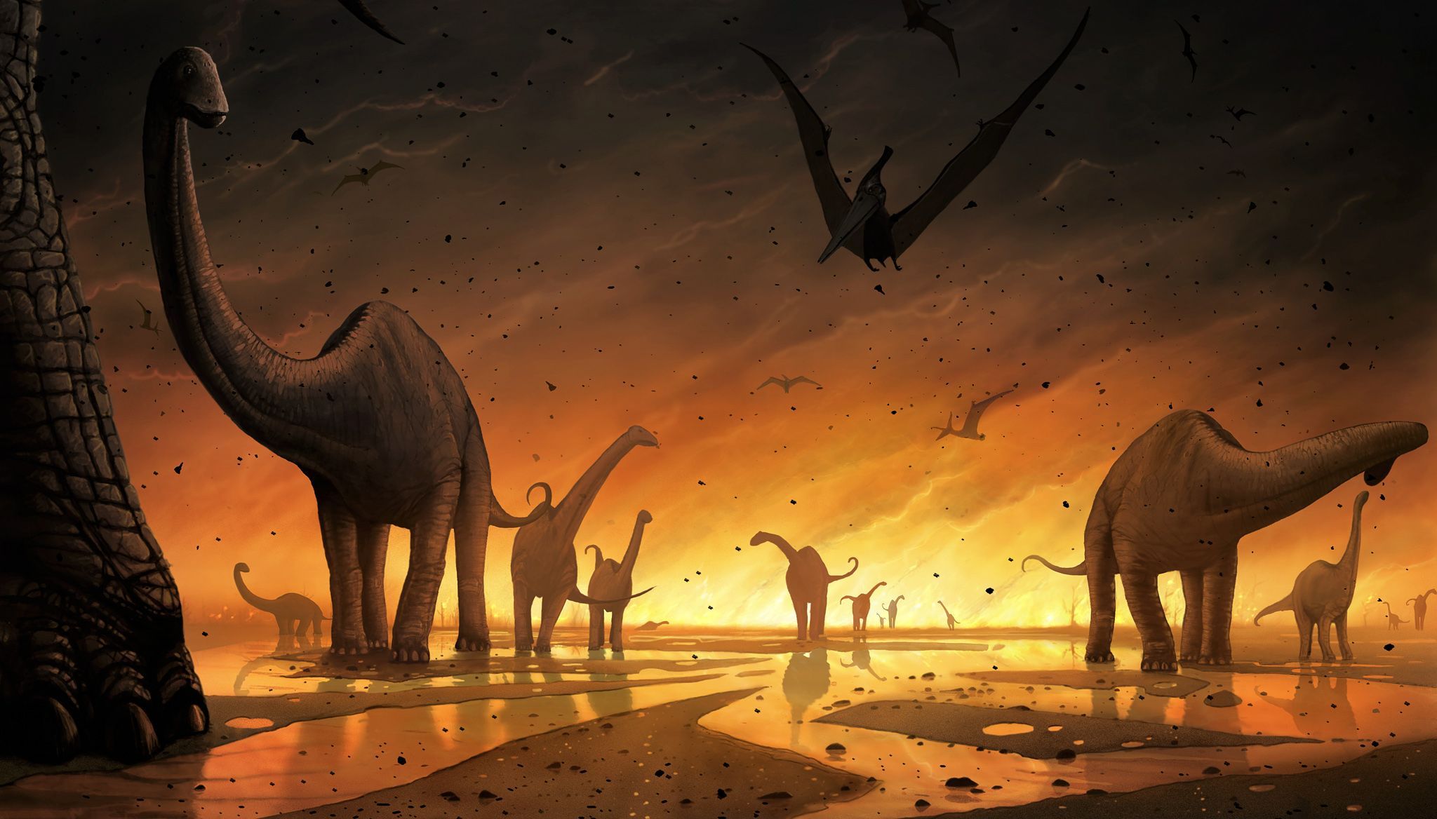 Thema Dino's