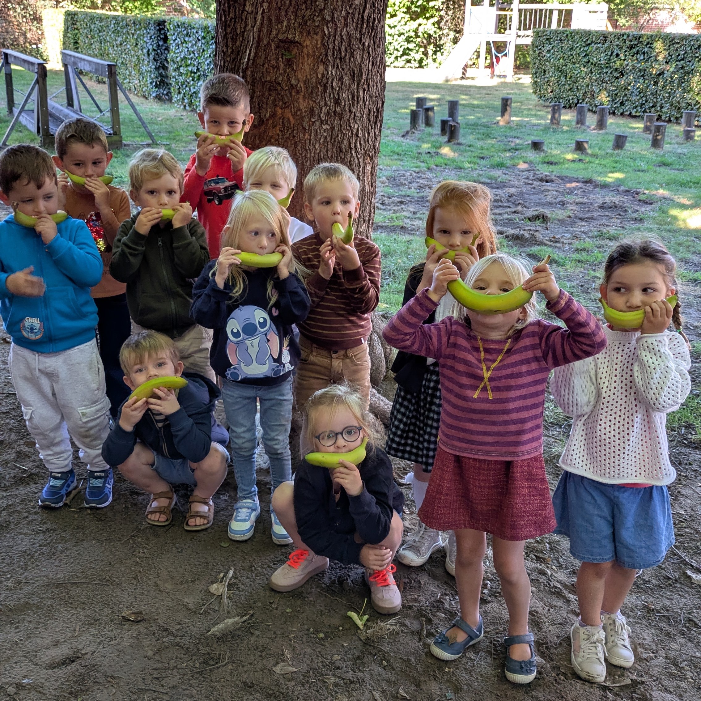 Onze eerste week in de Boomklas.