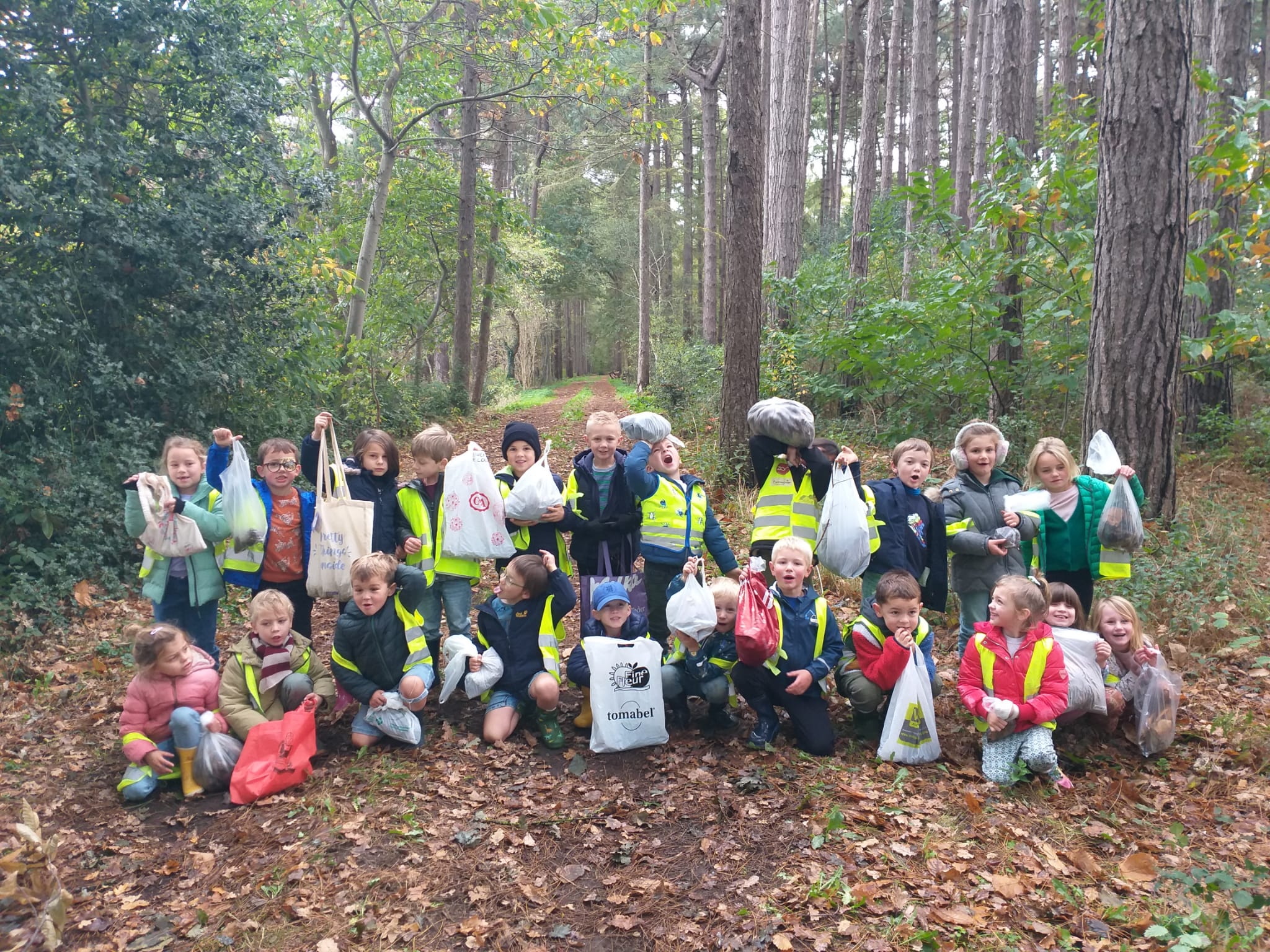Naar het bos!