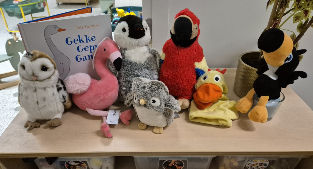Thema: 'Vogels in de winter'