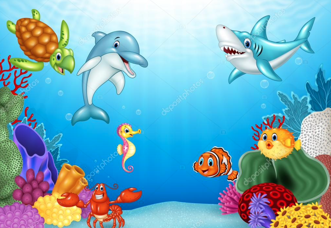 🐬 Onderwaterwereld 🐬