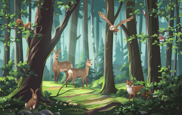 Op speurtocht door het bos